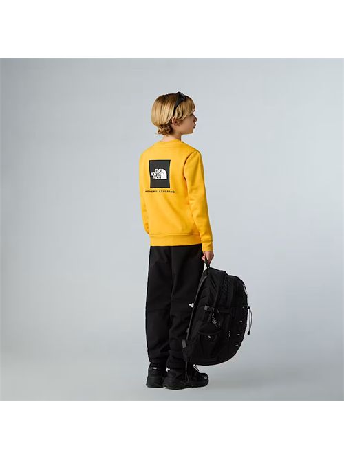 Felpa NSE Box da ragazzi THE NORTH FACE | NF0A89H7/56P1